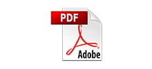pdf_logo pdf_logo